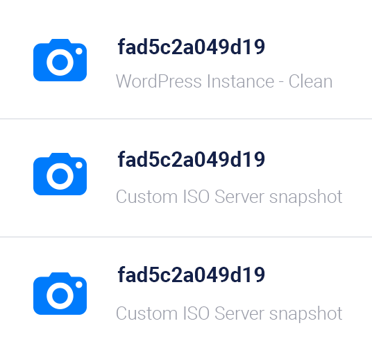 Vultr - Deploy Server Snapshot