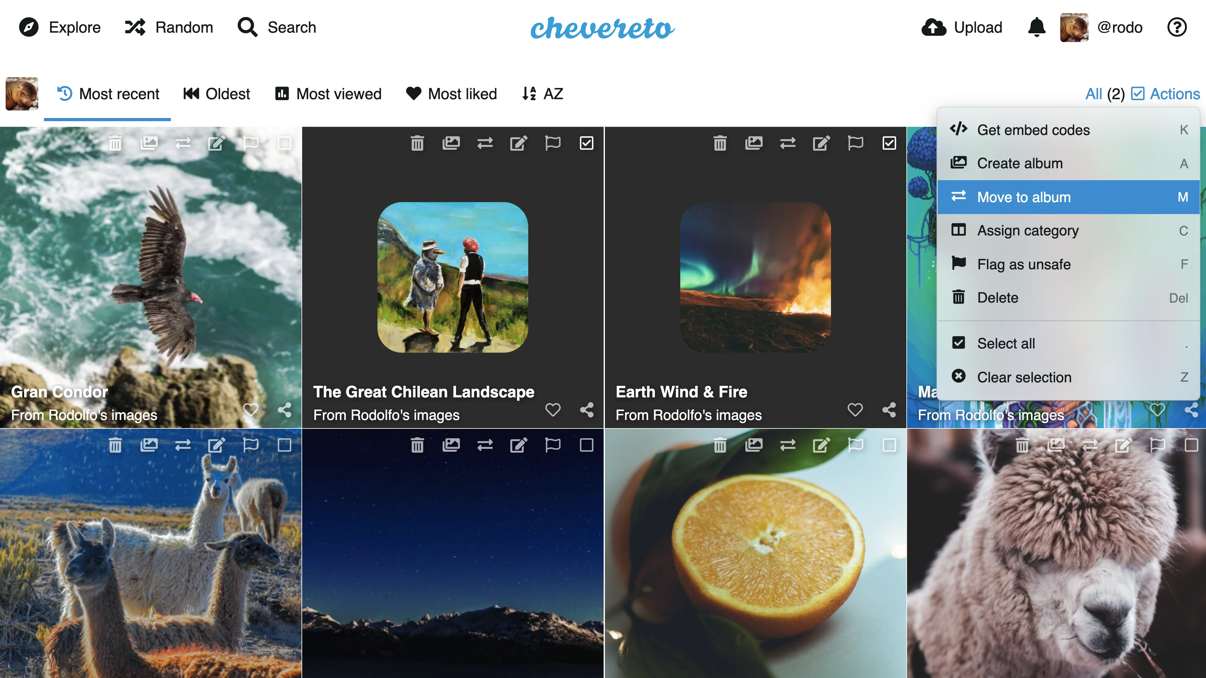 chevereto-gallery_image-2de5bb6b-2520-4e89-8388-d6986f5f7352-1709040964.webp